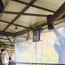 피아골단풍민박 이미지