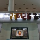 제천국제발효박물관 | 충북 여행 가볼만한 곳 제천 한방엑스포공원 내 국제발효박물관