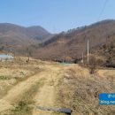 미리내차량관리 이미지