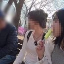 추파 동아일보