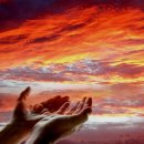 모두의 집사 이미지