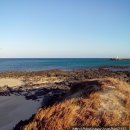 다미진횟집 이미지