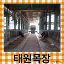 경보목장 이미지