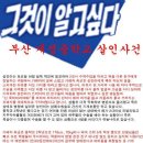 잊지않을개