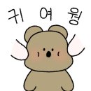세젤예사진관