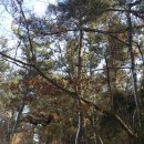 석성면사무소 이미지