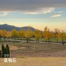 경주 통일전 카페 포워드 은행나무길 단풍 노을뷰 테라스카페