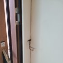 올림픽로 이미지