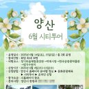 6 이미지