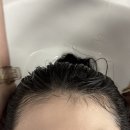 멍멍헤어 | 인천 청라 미용실, 비다주헤어 청라점 청라 레이어드컷 후기