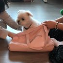 김두경 | 더운날 태어나도 7칠럭키야