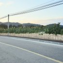 상대2리 이미지