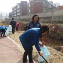 삼룡천 이미지
