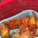 격포항길 | 채석강 맛집 부안 회센터 회포장 후기 격포 어촌계회센터 B동13호