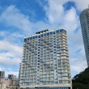 들어오시개 | <부산 오션뷰 애견동반 숙소> 송도 그랩디오션 호텔 프리미어 스위트룸 애견동반 후기