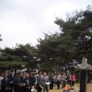 아산제 이미지