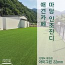 (주)그린정비 | 강원도 횡성 애견카페 인조잔디 시공 후기 (85평 석분 바닥, 고강도 아이그린 22mm 적용)