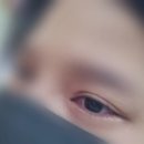 리베파크 이미지