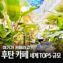 우리비디오클럽 | 서울 근교에 세계 TOP5 대형 카페가? 후탄 남양주 카페 직접 다녀온 후기