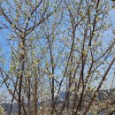 바닷가 위 하얀집민박 | [통영 여행] 삼덕항에서 떠난 곤리도 트레킹~