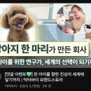 스토리바이 | 반려동물 영양제] 한 아이를 향한 진심이 전 세계 반려견에게 닿기까지, 닥터바이 브랜드스토리 솔직 후기!