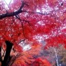고기클라스