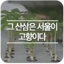 해피팜 이미지