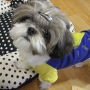 삼성하나약국 이미지