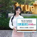 388 이미지