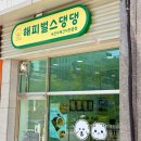댕댕지구 이미지