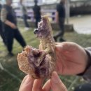 스테이 목월 이미지