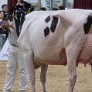 천호목장 이미지