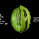 셀웨이브 이미지