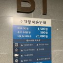 화성시청 남양 맛집 이색 인테리어 발리다포차 후기