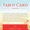 타로 심리상담 활용 이미지