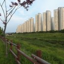 서울아산병원 이미지