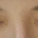 한생인 이미지
