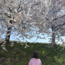 남일어린이공원 이미지