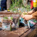 안면도자연휴양림 이미지