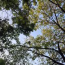 당산못공원 이미지