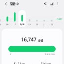 느린꼬부랑길 | 중국 장가계 하나투어 3박 4일 패키지 3일차 || 천자산, 원가계, 백룡엘리베이터, 십리화랑, 보봉호...