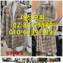 신세계모피세탁