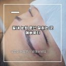 뷰티해 - 전주시 완산구 | 별내 눈썹 문신 잘하는 곳 에버뷰티에서 이모 눈썹 해드렸던 솔직 후기