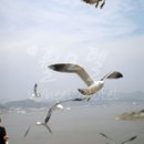 휠모텔 이미지