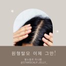 지니스칼프 이미지