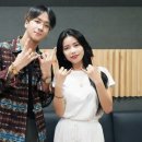 솔라씨