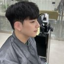센텀 애견 미용실 네이버블로그