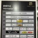 카페/바깔루아