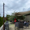 버던트 | 대구 근교 카페 청도 버던트 내돈내산 후기