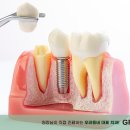 녹색치과의원